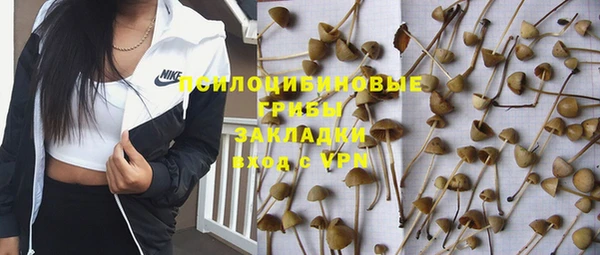 круглые Абаза