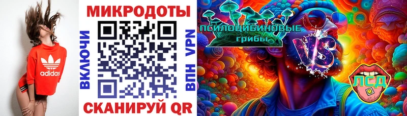 Галлюциногенные грибы Magic Shrooms  Руза 